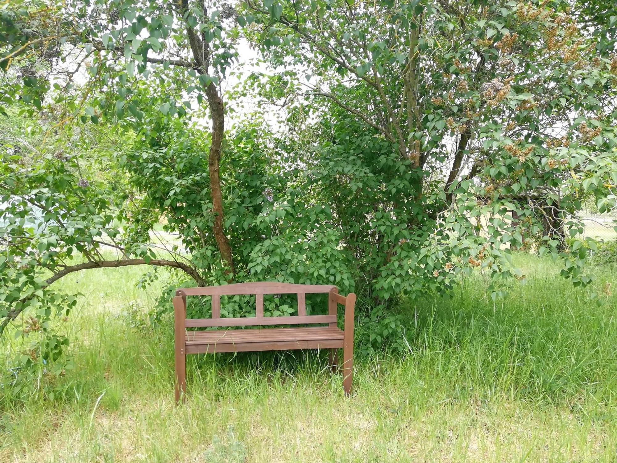 Kleine Galerie Apartment Fuer 3 Mit Kueche Kamin Netflix Parken Und Hofladen Steinhofel Extérieur photo